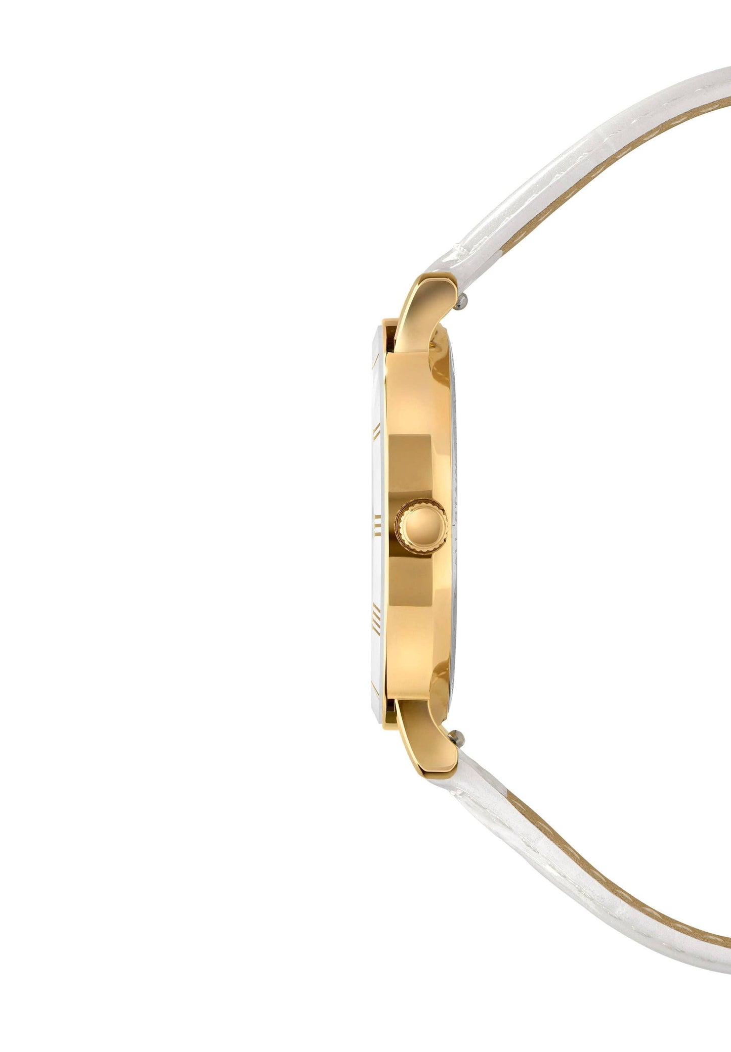 Roma Wat Swiss Elegance Women's Wristwatch - Ringold Valley Trading Company