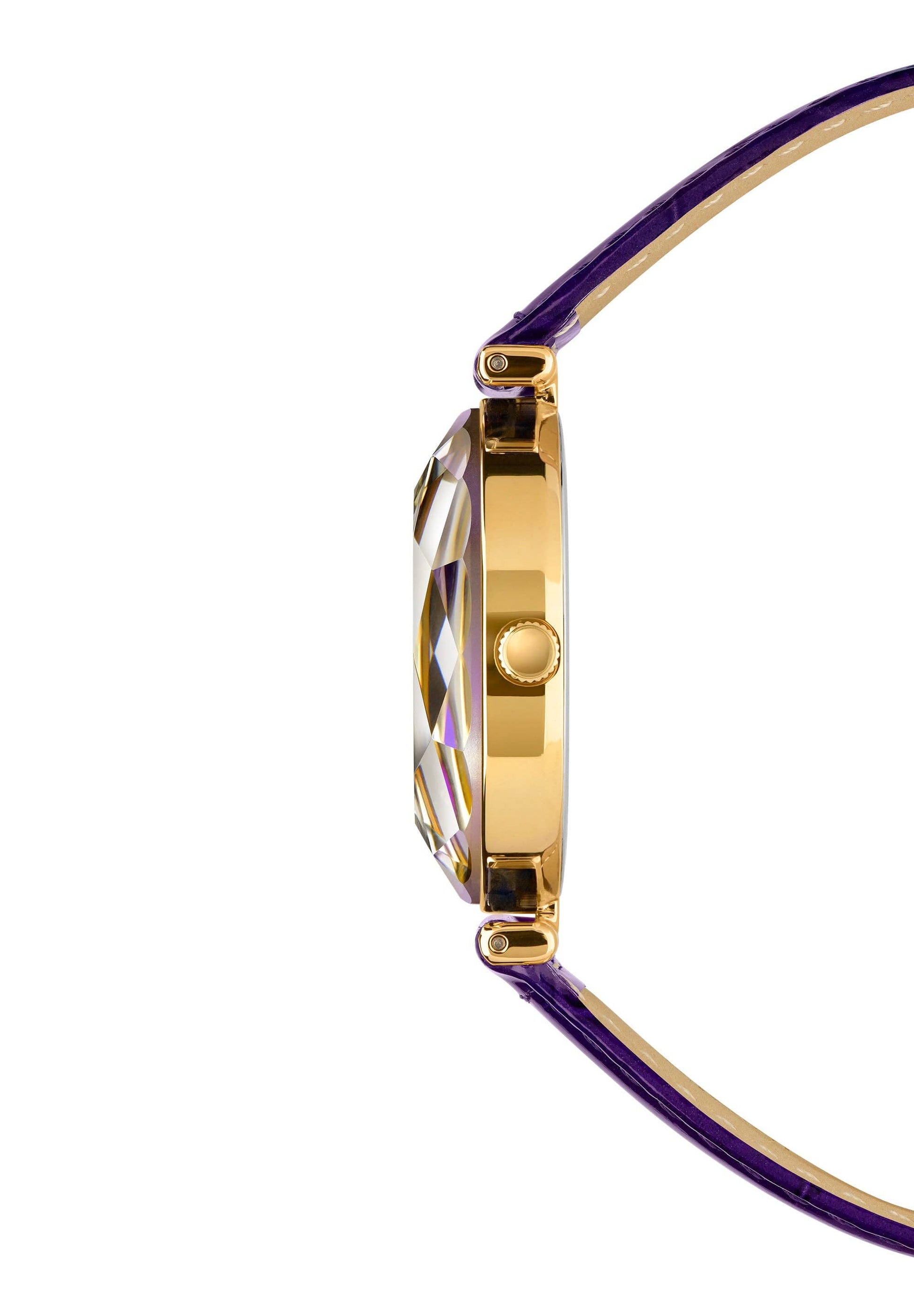 Swiss Ladies Watch J5.831.M - Ringold Valley Trading Company