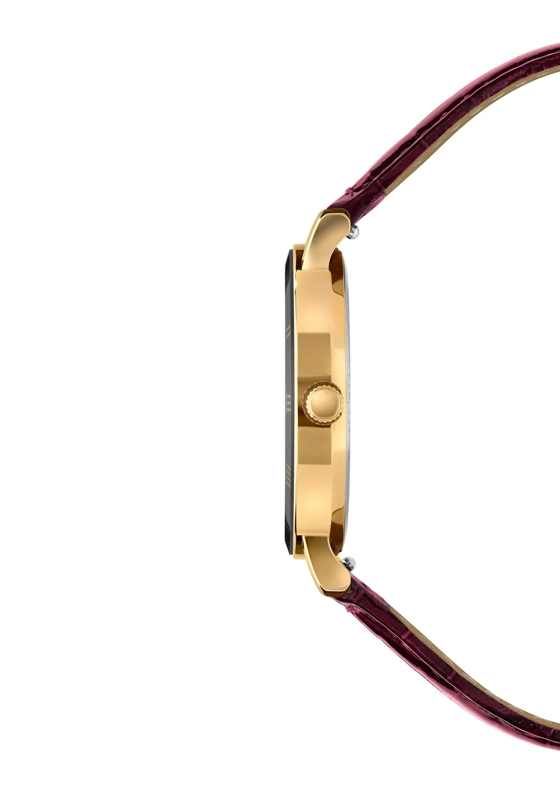 Roma Swiss Lady J2 Watch - Ringold Valley Trading Company