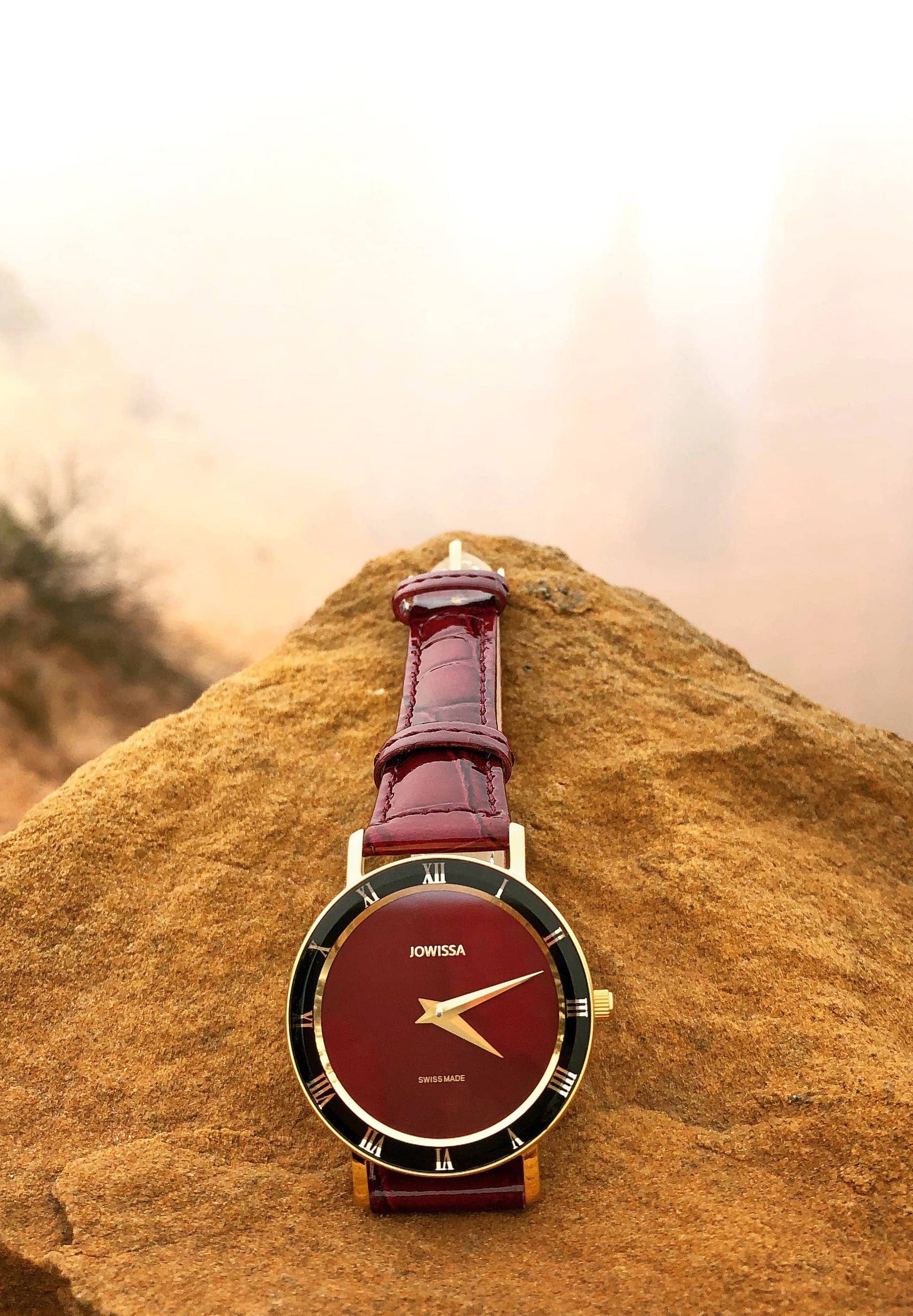 Roma Swiss Lady J2 Watch - Ringold Valley Trading Company
