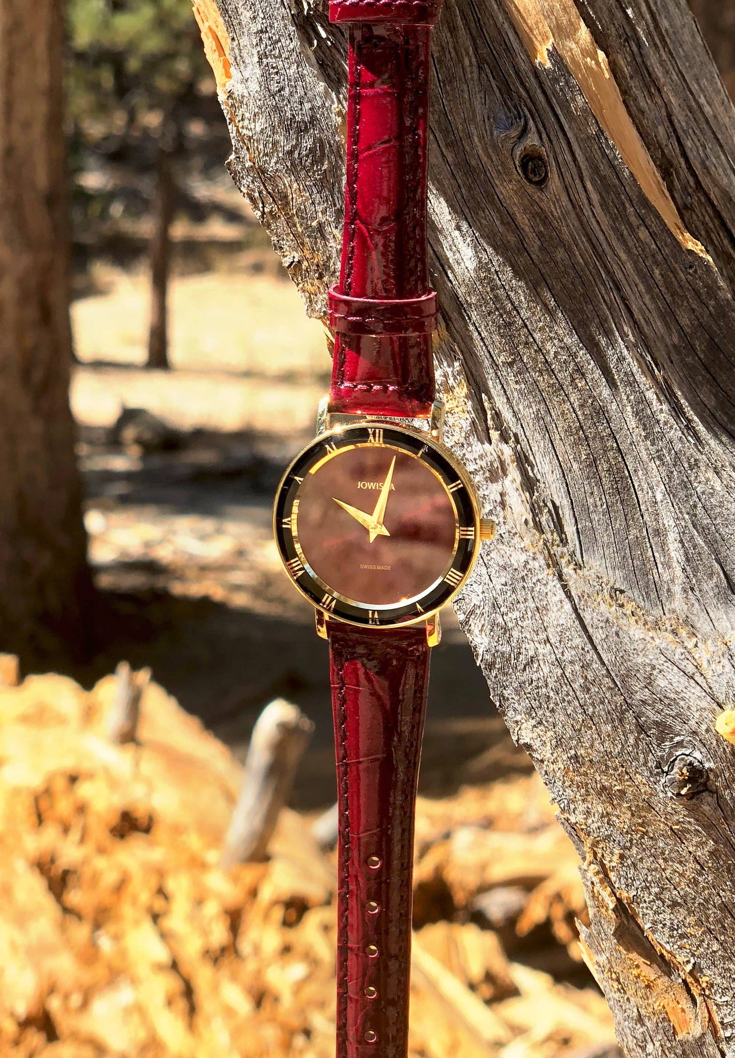 Roma Swiss Lady J2 Watch - Ringold Valley Trading Company