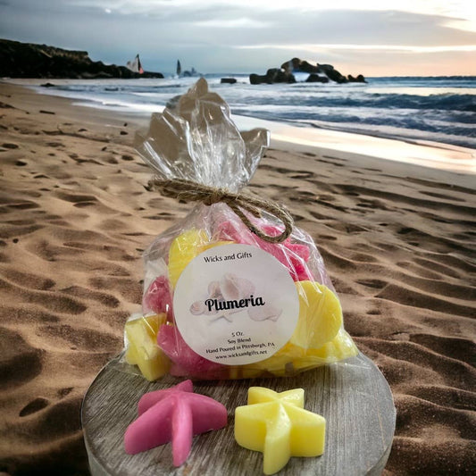 Plumeria Sea Shell Wax Melts - 5oz Bliss - Ringold Valley Trading Company